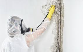 Forensic Mold Investigation in Crossville, AL